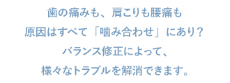 診察内容 噛み合わせ 鎌倉市山崎のまちの歯医者さん 医療法人 樹会 いがらし歯科医院